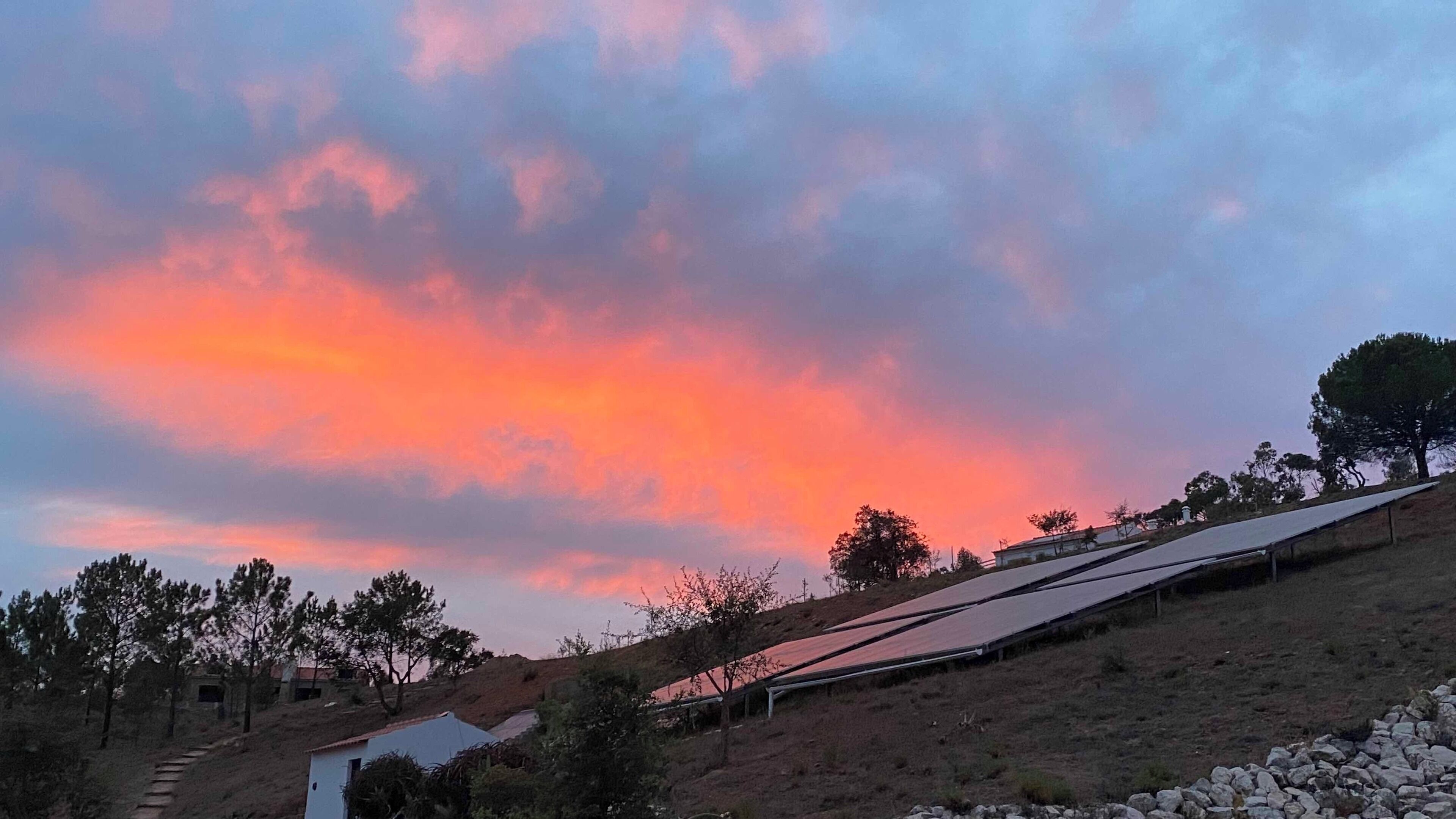 A landscape with solar panels on a hillside, a pathway, and trees.