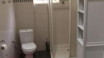 Shower, hair dryer, soap, toilet paper