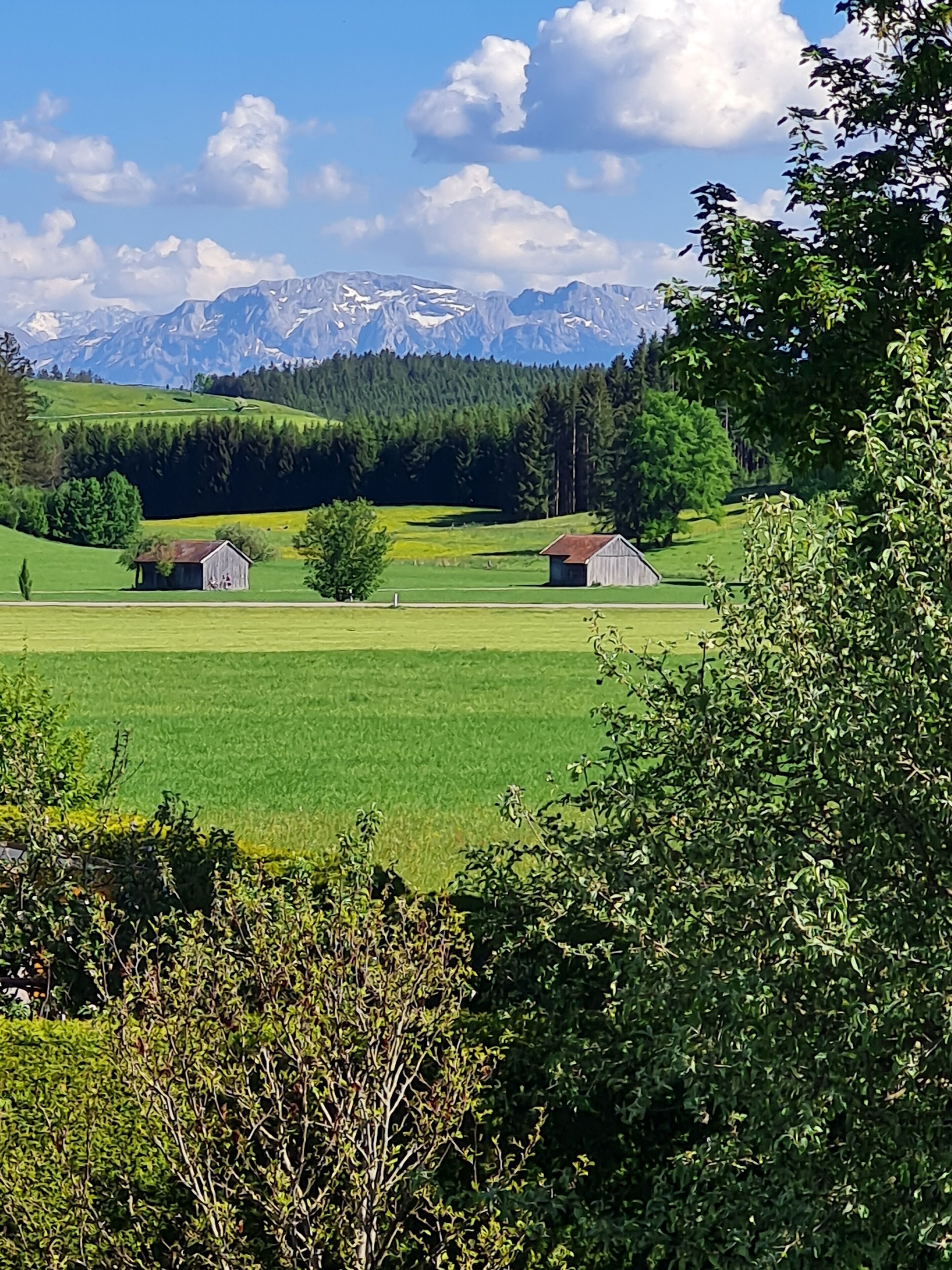 A rural landscape with green fields, two wooden barns, and a mountain range in the background.