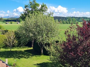 Een landelijk landschap met een grote boom, open velden en verafgelegen bergen.