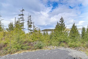 A natural landscape with a gravel path, dense coniferous trees, and a lake in the background.