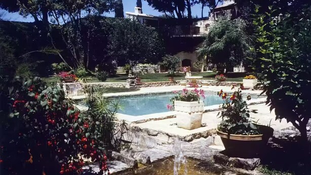 Ein Pool, umgeben von üppiger Bepflanzung und Kübelpflanzen.
