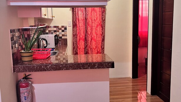 A kitchen with a marble countertop, a fire extinguisher, and a potted plant.