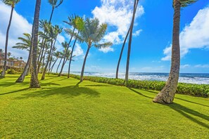 Property grounds - 226-4 Steps to Surf and Sun (Lahaina)