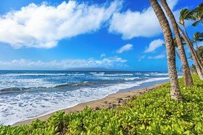 Beach - 226-4 Steps to Surf and Sun (Lahaina)