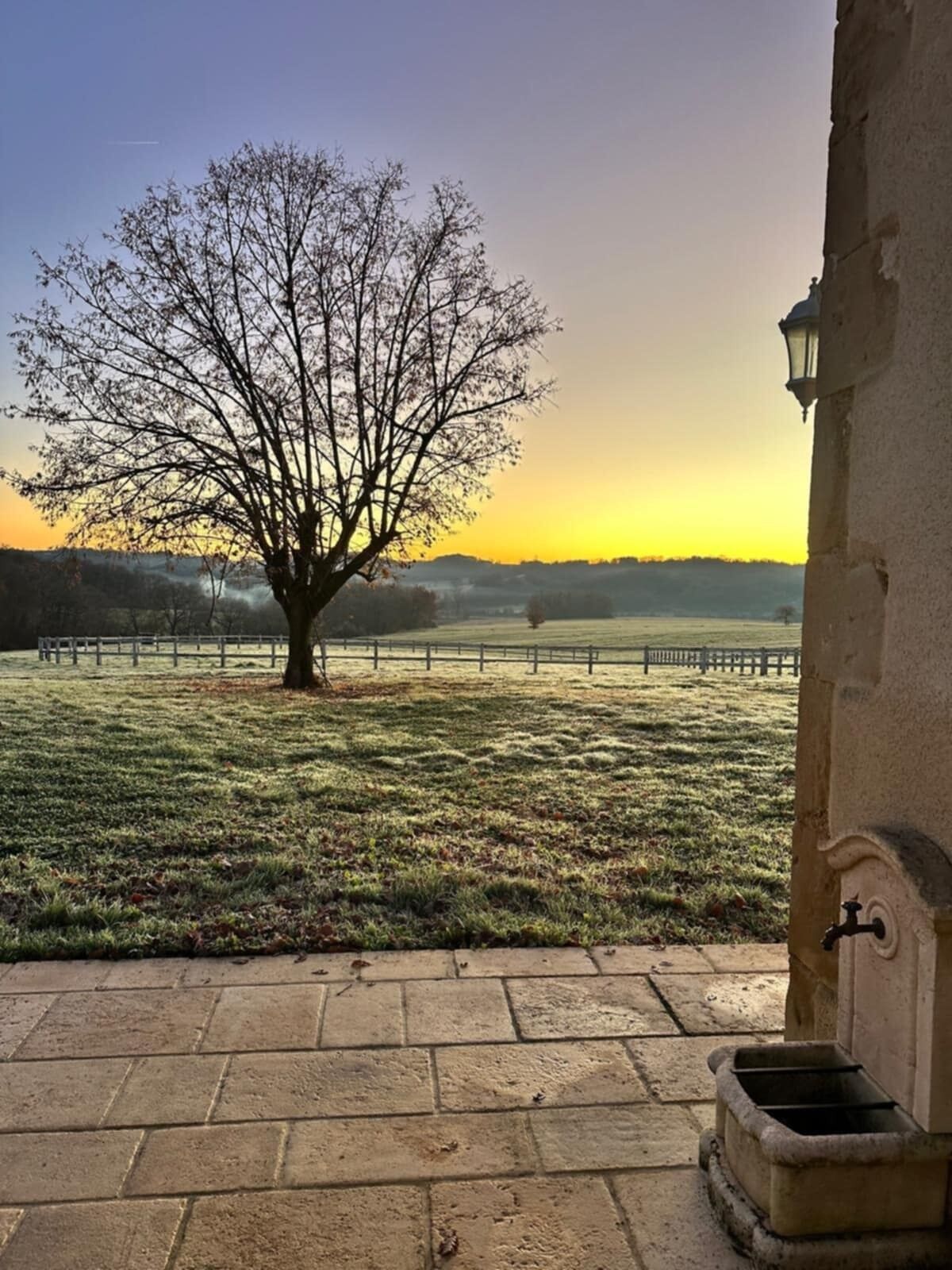 Overnattingsstedets uteområder