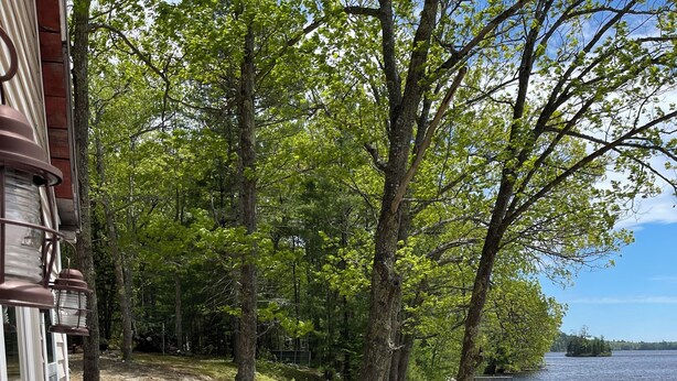 A wooden deck with outdoor furniture, overlooking a lake.