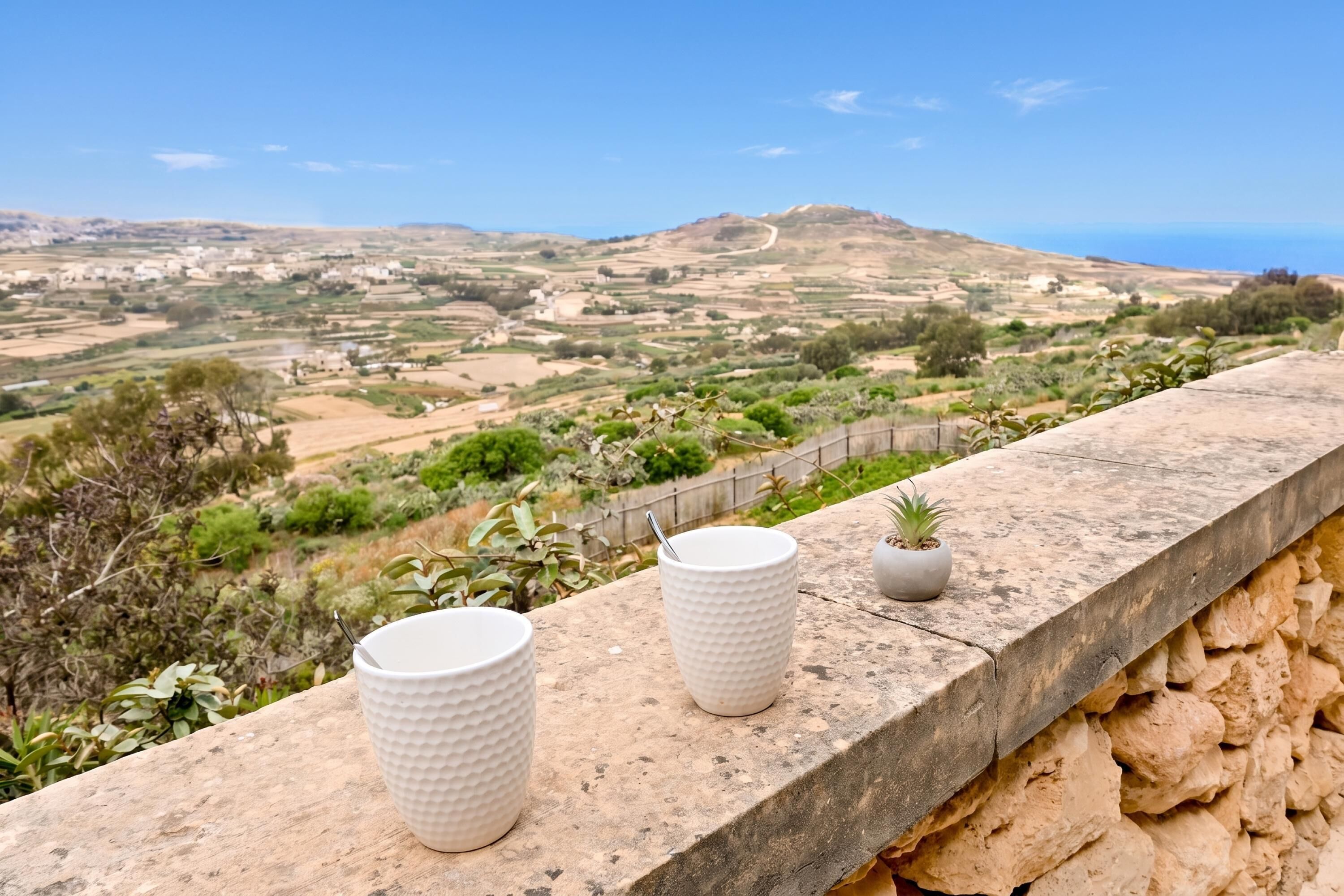 A stone ledge with two white textured cups and a small potted plant.