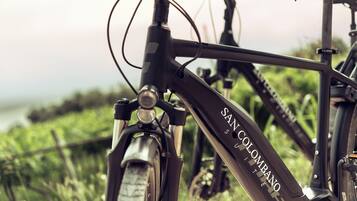 Bicycling