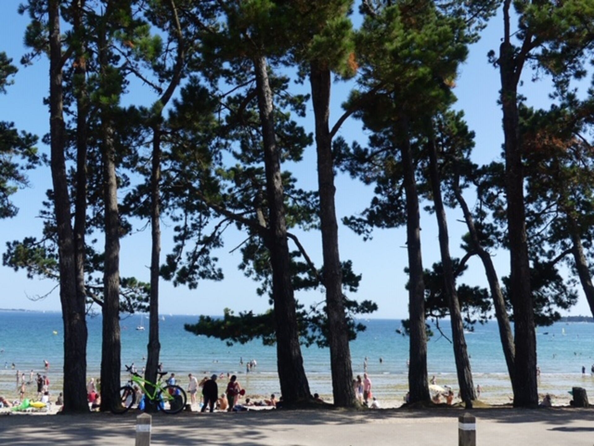 Plage, chaises longues