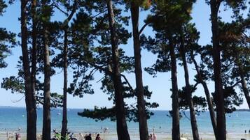 Plage, chaises longues