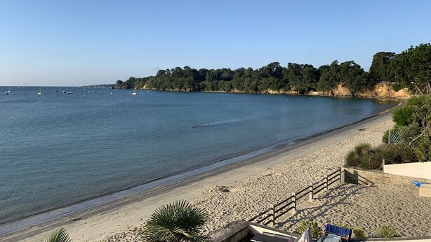 Una playa con arena, una valla de madera y algunas plantas.