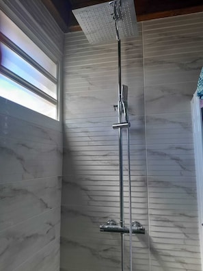 Regadera, toallas, jabón, papel de baño