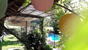 A covered outdoor area with a pool, a stone wall, and a blue plastic chair. - Mas la Mayanne in the heart of the vineyards. (Vénéjan)