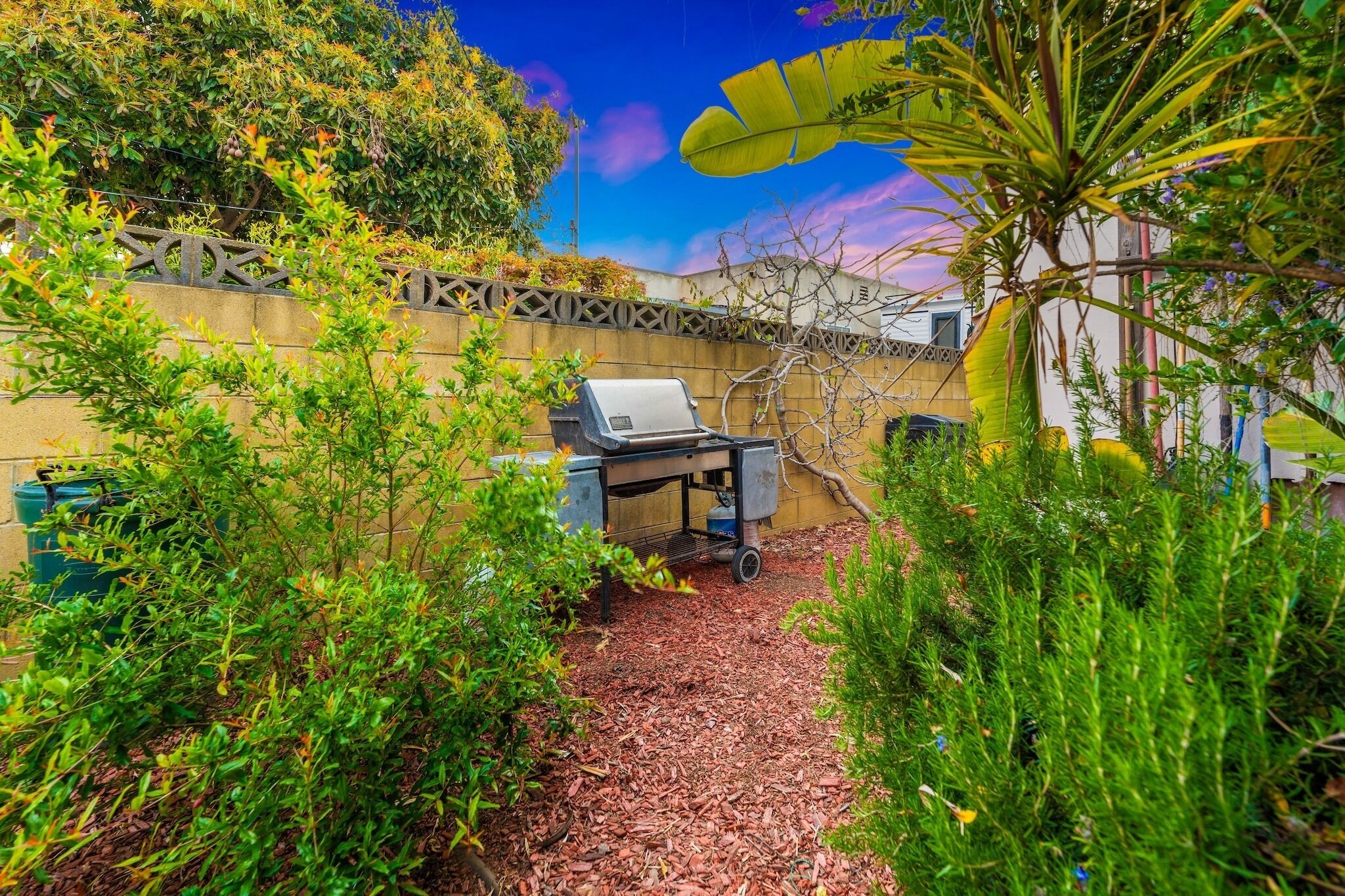A backyard with a barbecue grill, a decorative wall, and various plants.