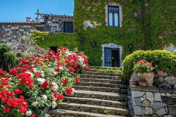 Garden - Torre Cangiani (Massa Lubrense)