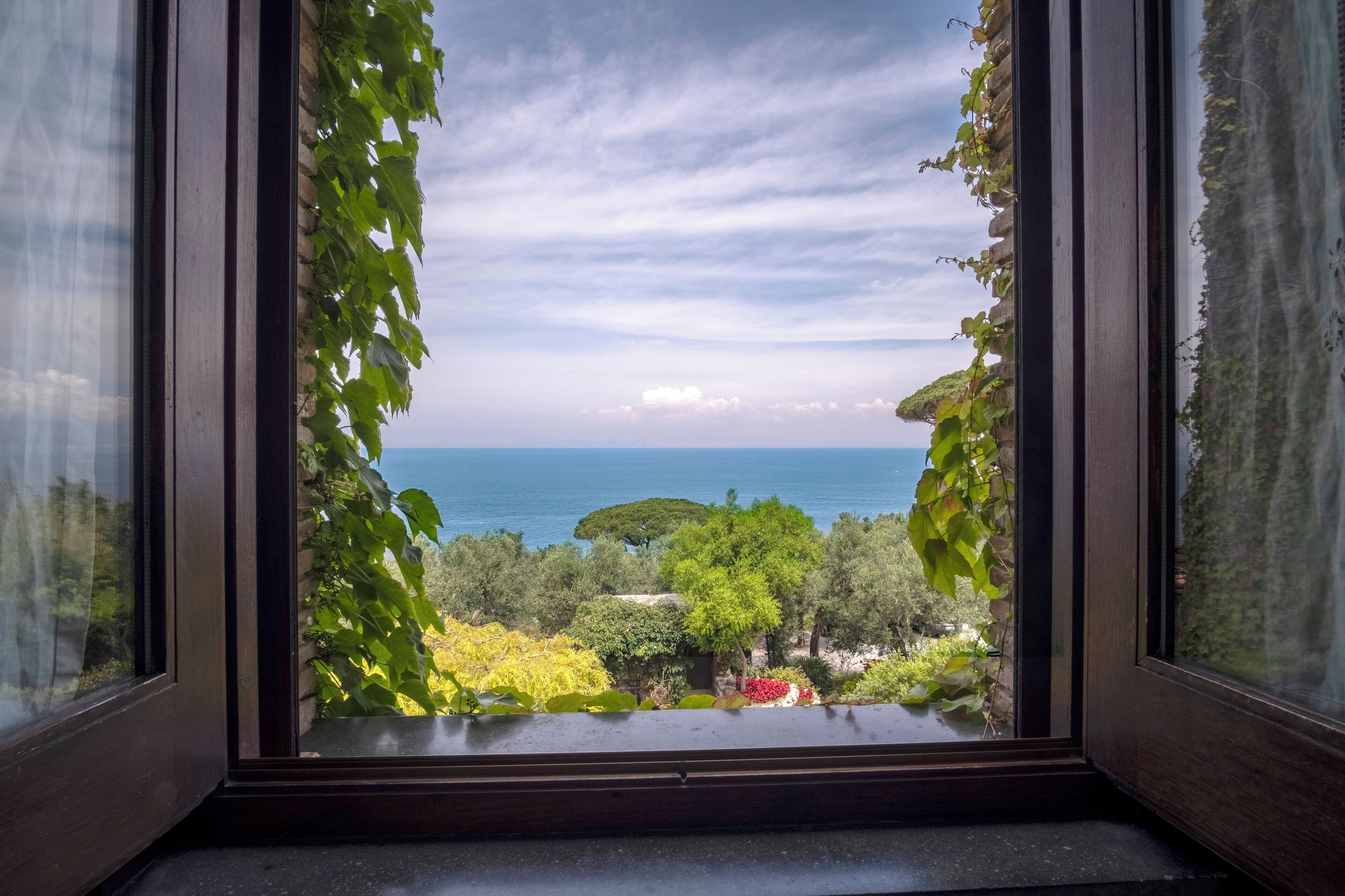 A view through a window with a wooden frame, overlooking a coastal landscape with trees and a body of water.