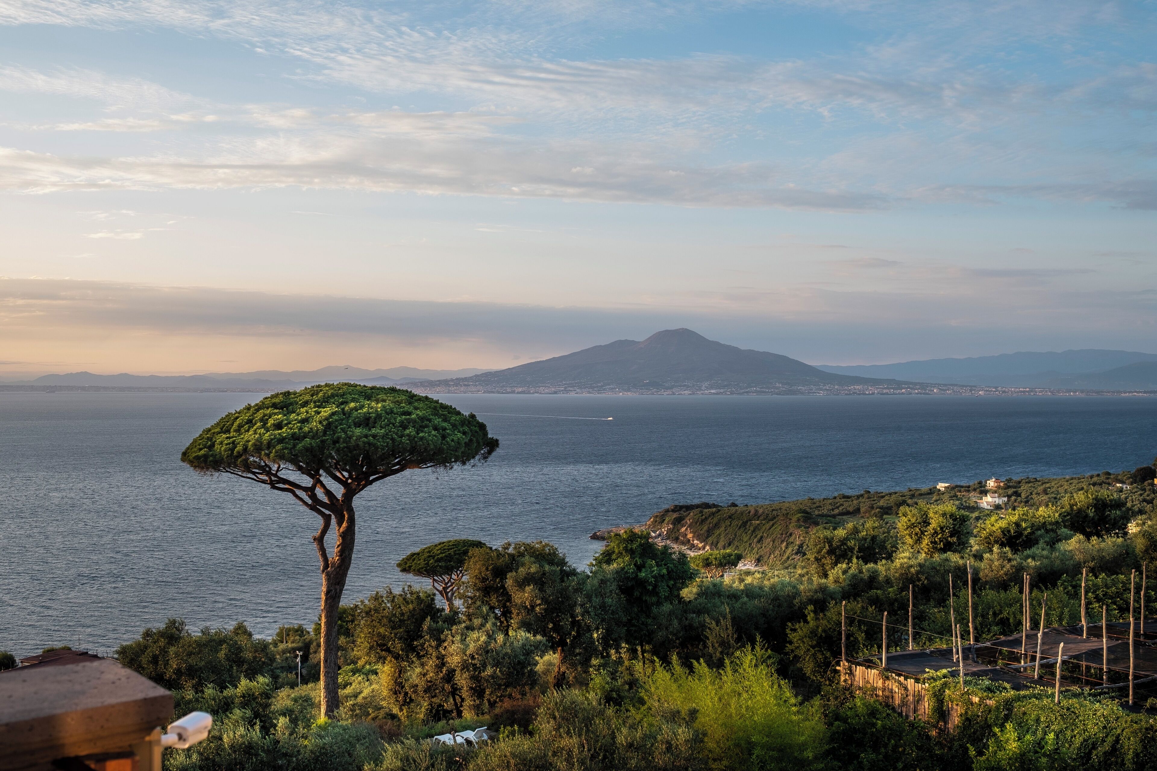 Un paisaje costero con un árbol destacado, una montaña distante y vista al mar.