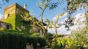 A stone building with ivy-covered walls, a gravel courtyard, and outdoor seating. - Torre Cangiani (Massa Lubrense)