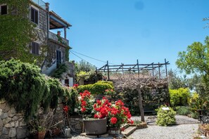 Garden - Torre Cangiani (Massa Lubrense)