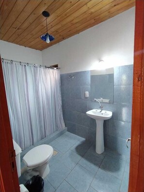 Une salle de bain avec douche, toilettes et lavabo.