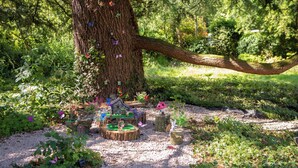 Un albero con un'altalena di legno appesa ai rami, circondato da un giardino con diverse piante e un piccolo stagno.