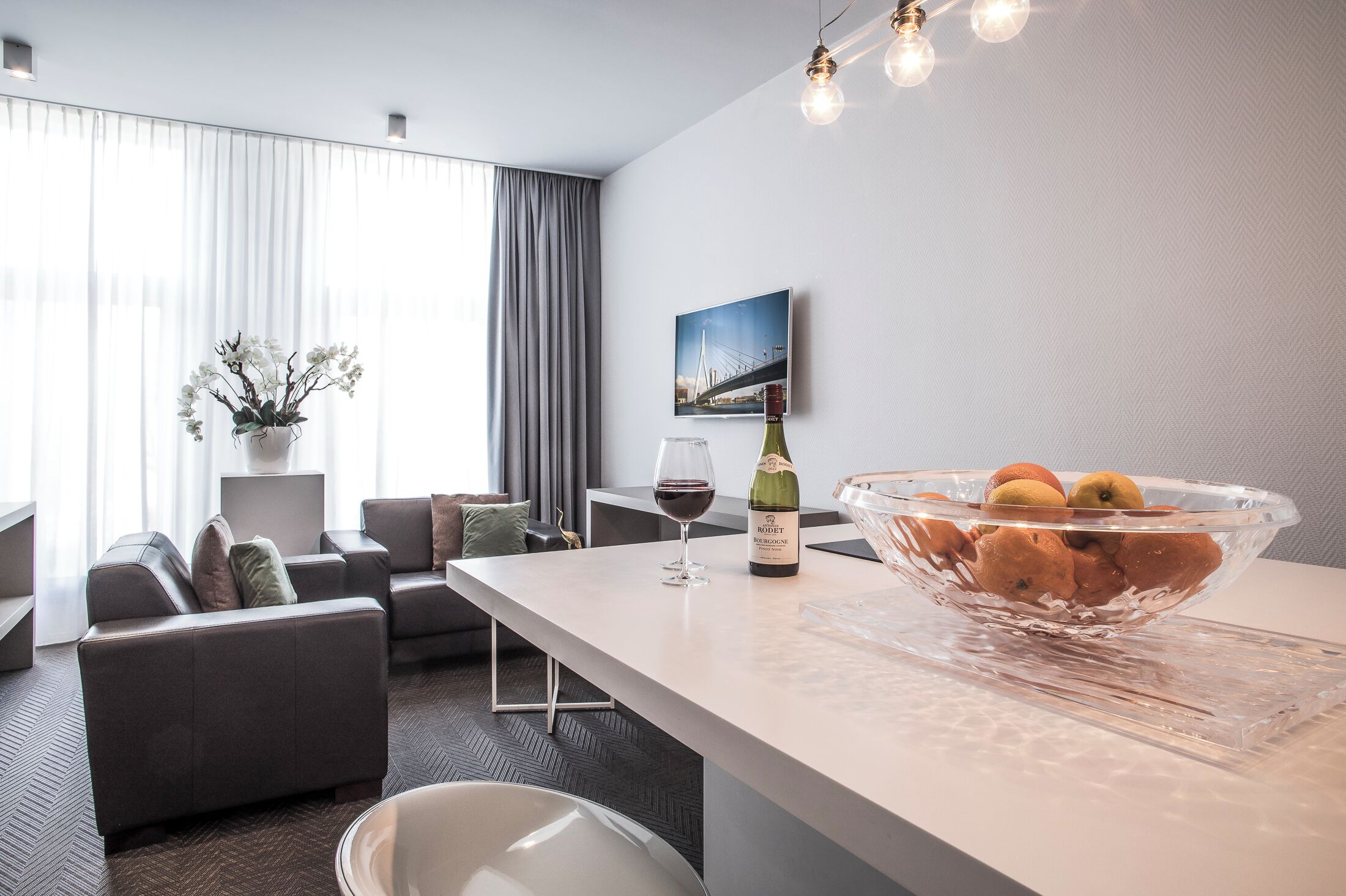 Executive Apartment | Private kitchen | Fridge, microwave, stovetop, coffee/tea maker