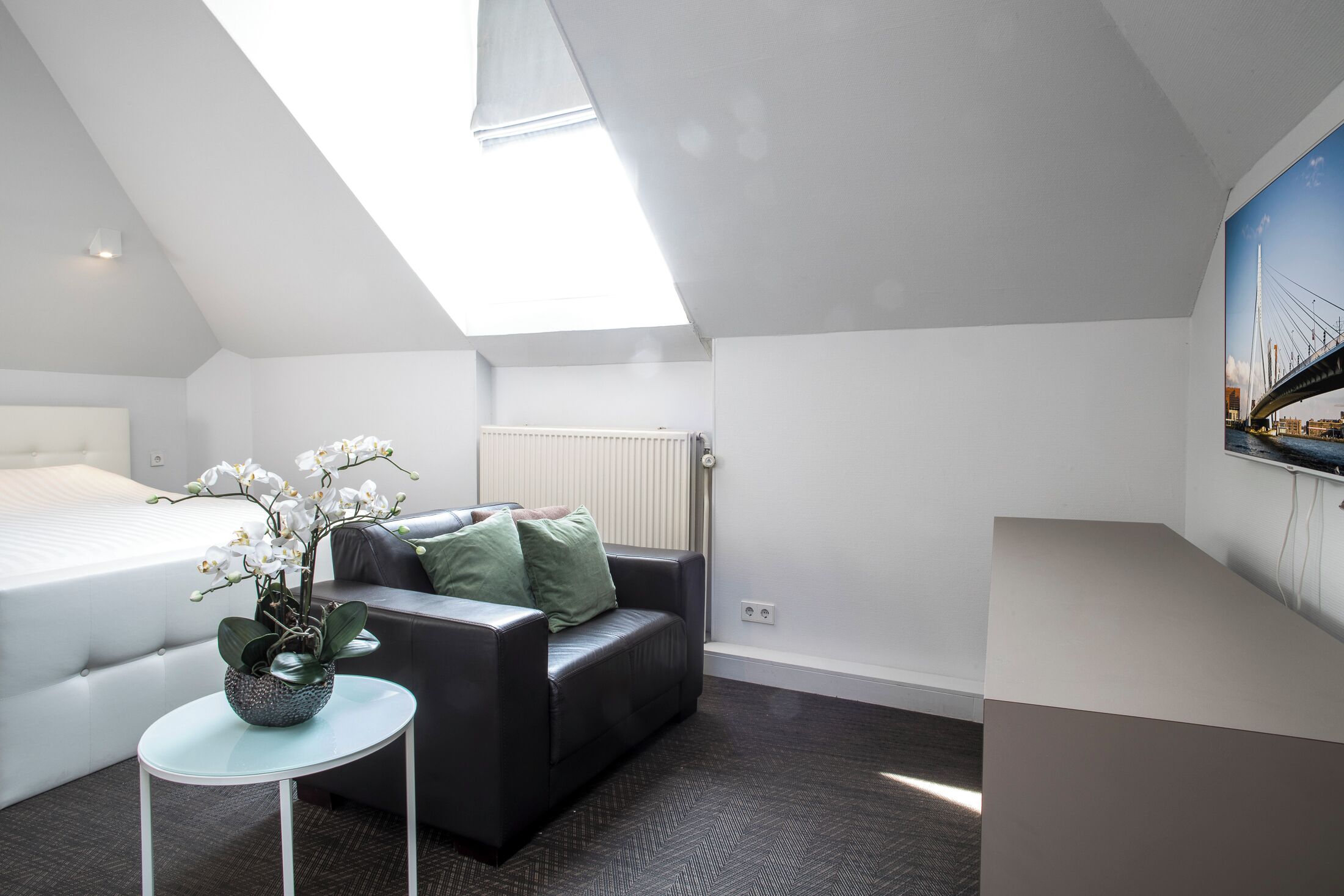 A modern, well-lit room with a loft bed, a sofa, a small table with a plant, and a large window overlooking a bridge.