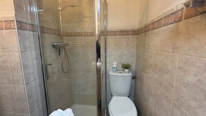 Een compacte badkamer met een douchecabine van glas, een toilet en een wastafel.