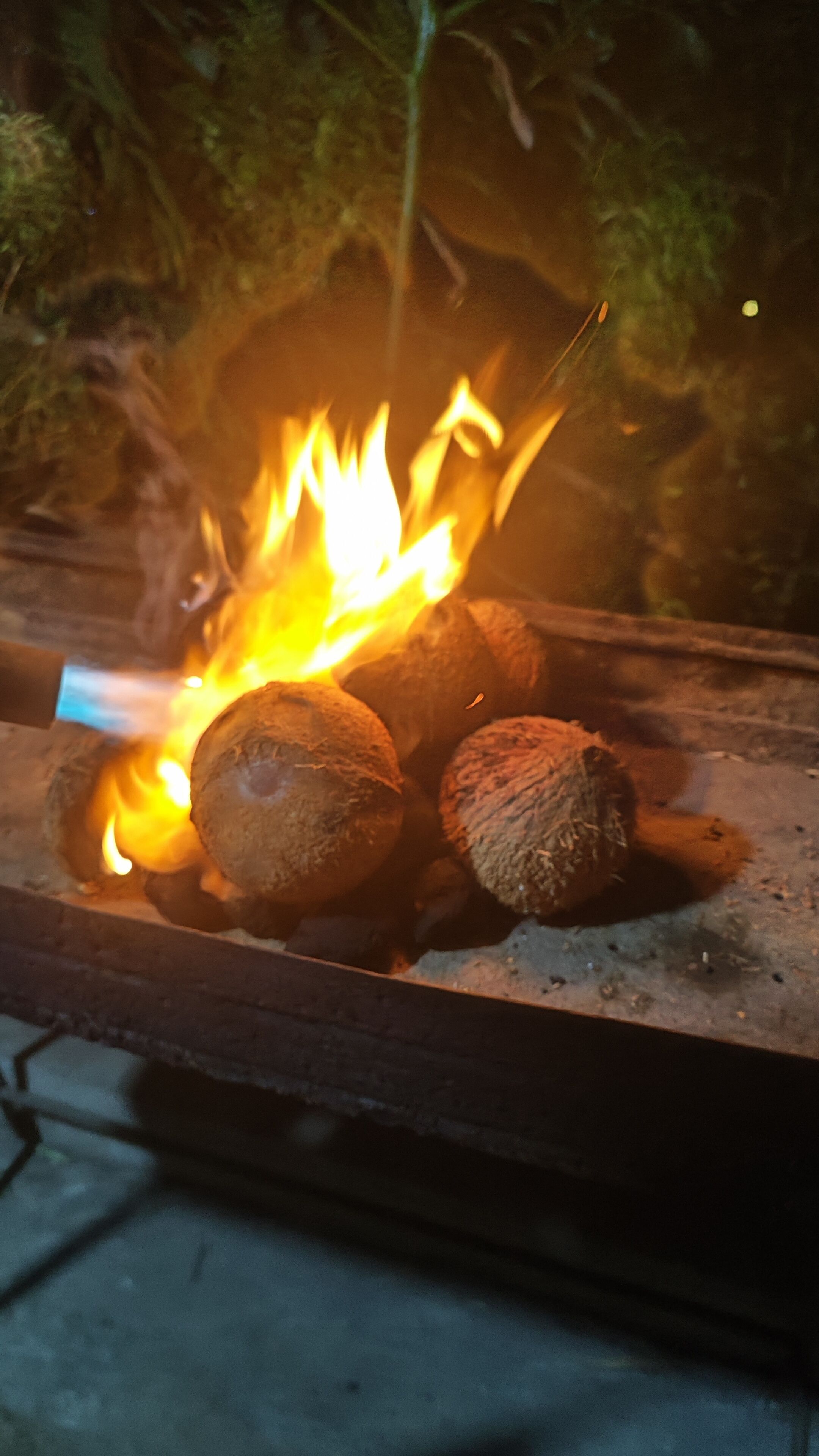 Un feu brûlant dans un récipient métallique, alimenté par des bûches.
