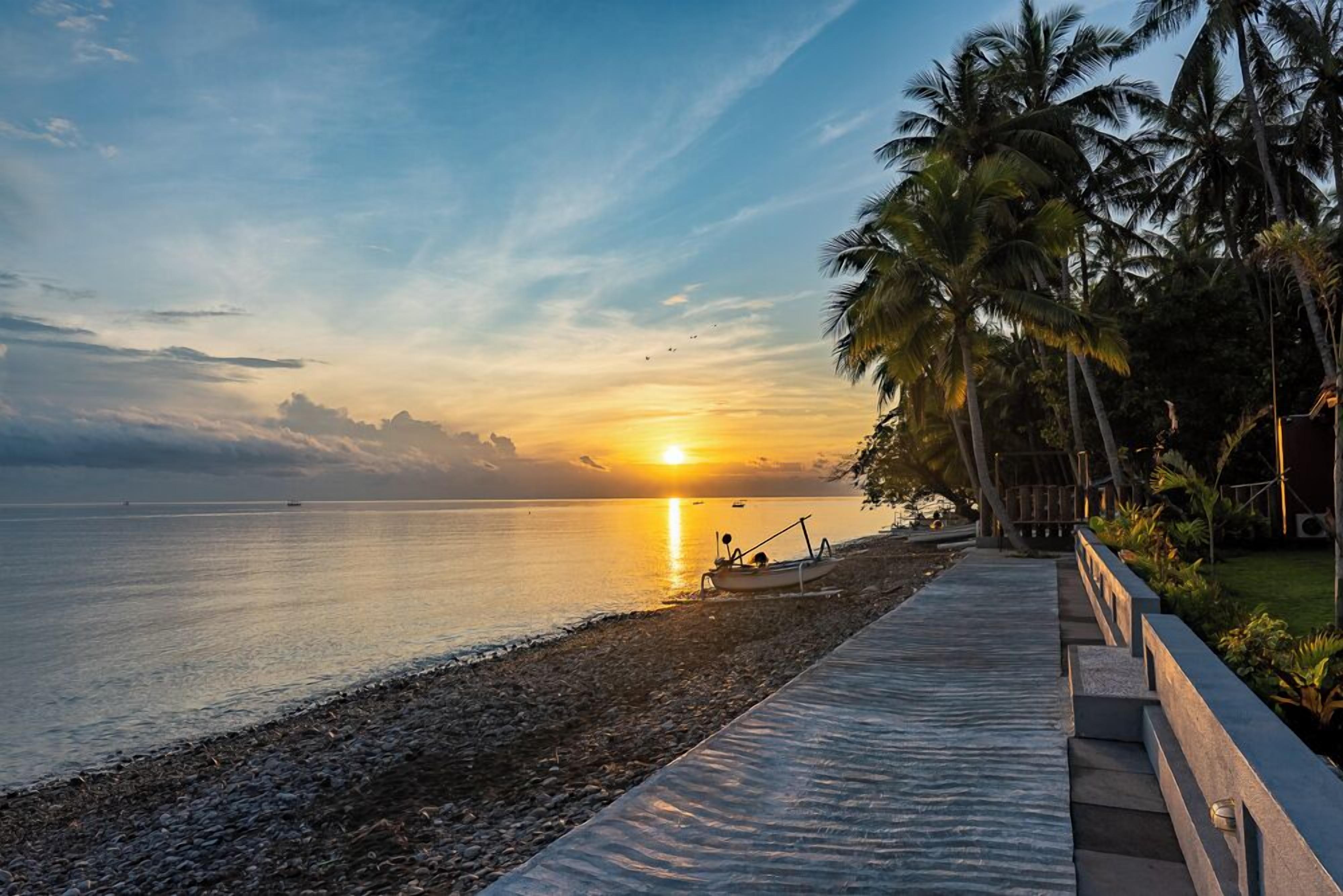 A beach with a row of palm trees, a boat, and a paved walkway along the shore.