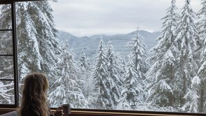 Una persona sentada junto a una ventana con vistas a árboles y montañas nevadas.