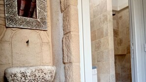 A stone wall with a decorative mirror, a stone basin, and a small plant.
