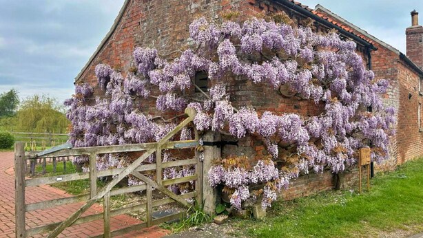 Cottage | Exterior - Cottage in Hemingby Near Lincolnshire Wolds (Horncastle)