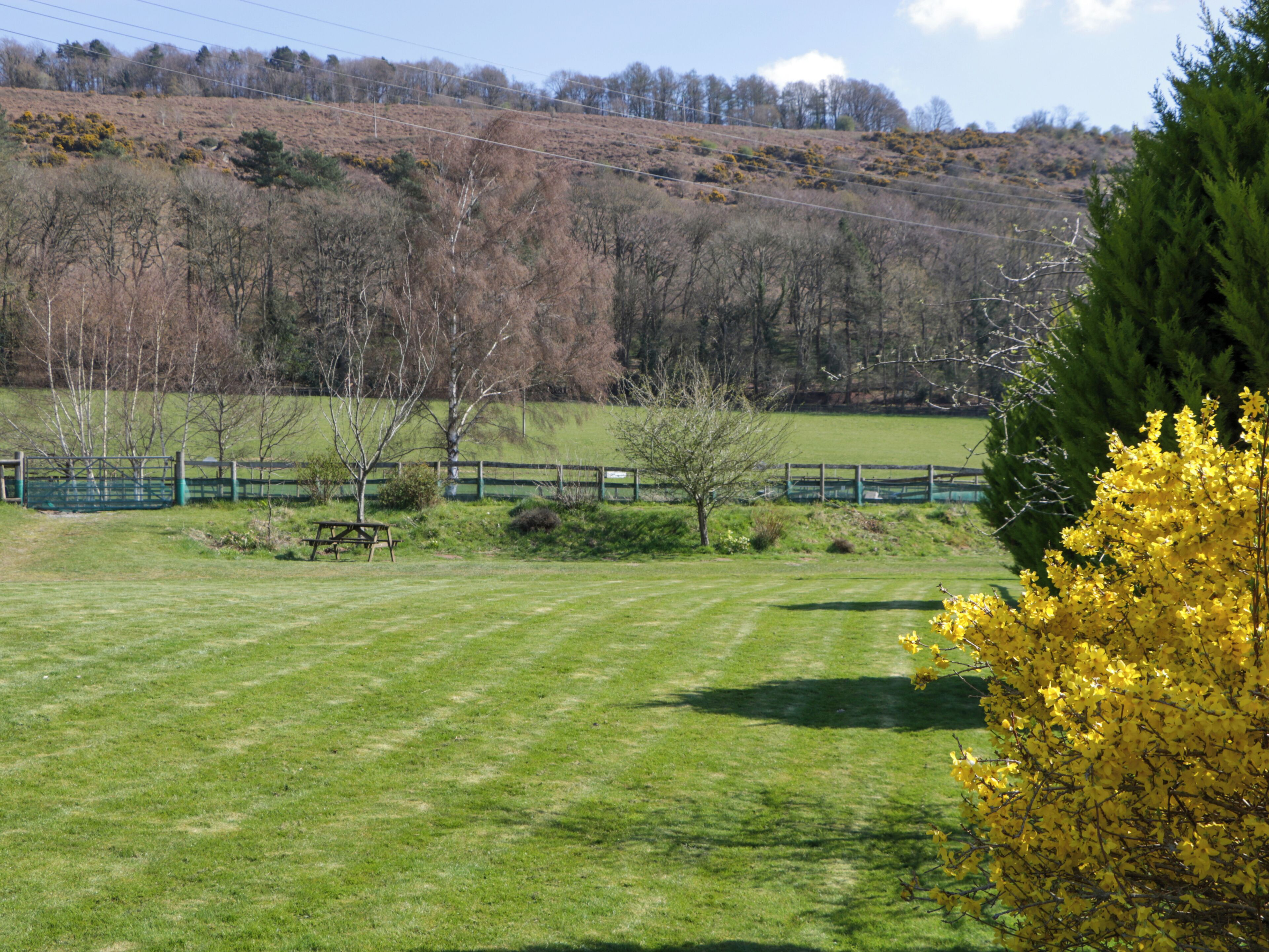 A grassy field with a picnic table, a fenced area, and a hill with trees in the background.