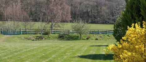 A grassy field with a picnic table, a fenced area, and a hill with trees in the background.