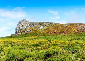 Cottage | Vue depuis l’hébergement