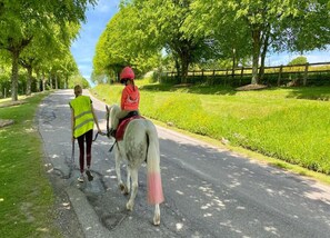 Ferienhaus | Blick von der Unterkunft