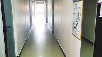 A long, narrow hallway with doors on both sides, leading to rooms.
