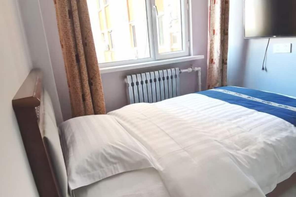 Un dormitorio con cama, ventana con cortinas, radiador y televisor montado en la pared.