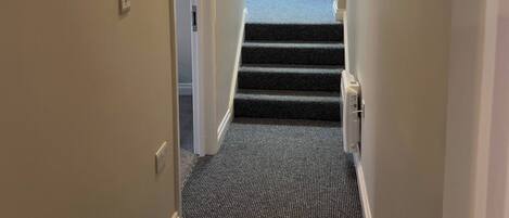 A narrow hallway with carpeted stairs leading to a room with a skylight.
