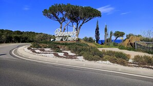 Una carretera que se curva a la derecha con un árbol grande y una señal en el centro.