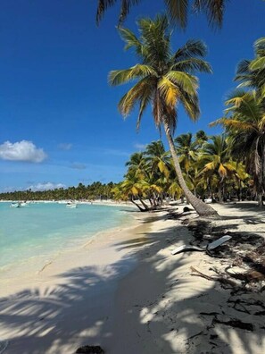 A beach with white sand, palm trees, and clear blue water.
