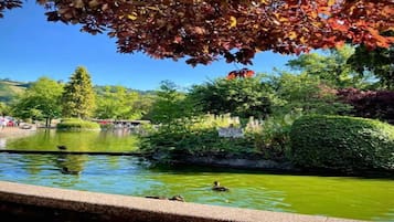 Vista desde la propiedad