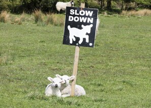 アパートメント | 施設からの眺望