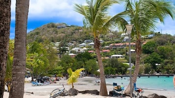A beach with palm trees, a clear sky, and houses in the background.