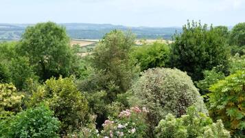 Cottage | View from property