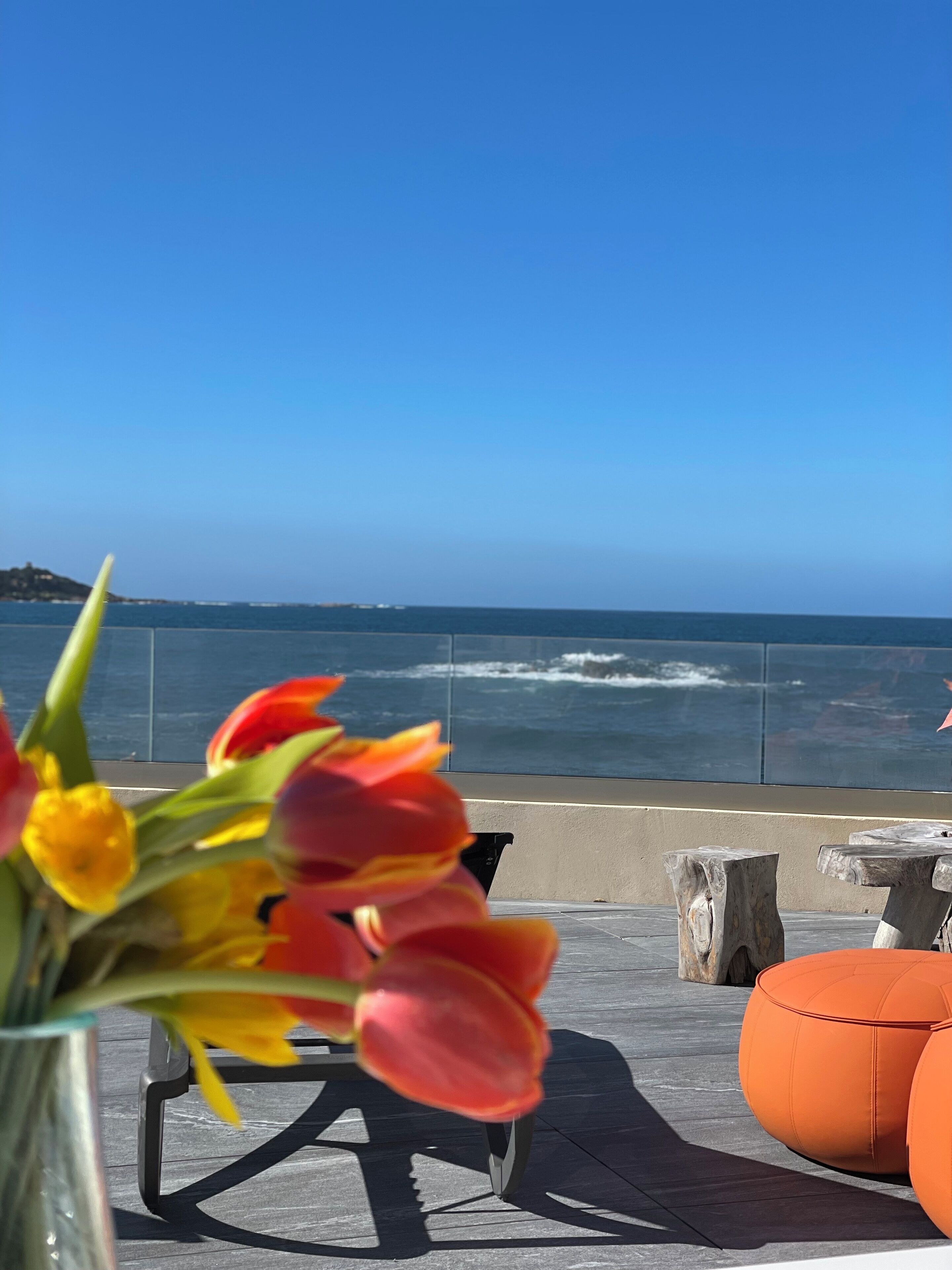A seaside terrace with a view of the ocean, a table with orange seating, and a vase with tulips.