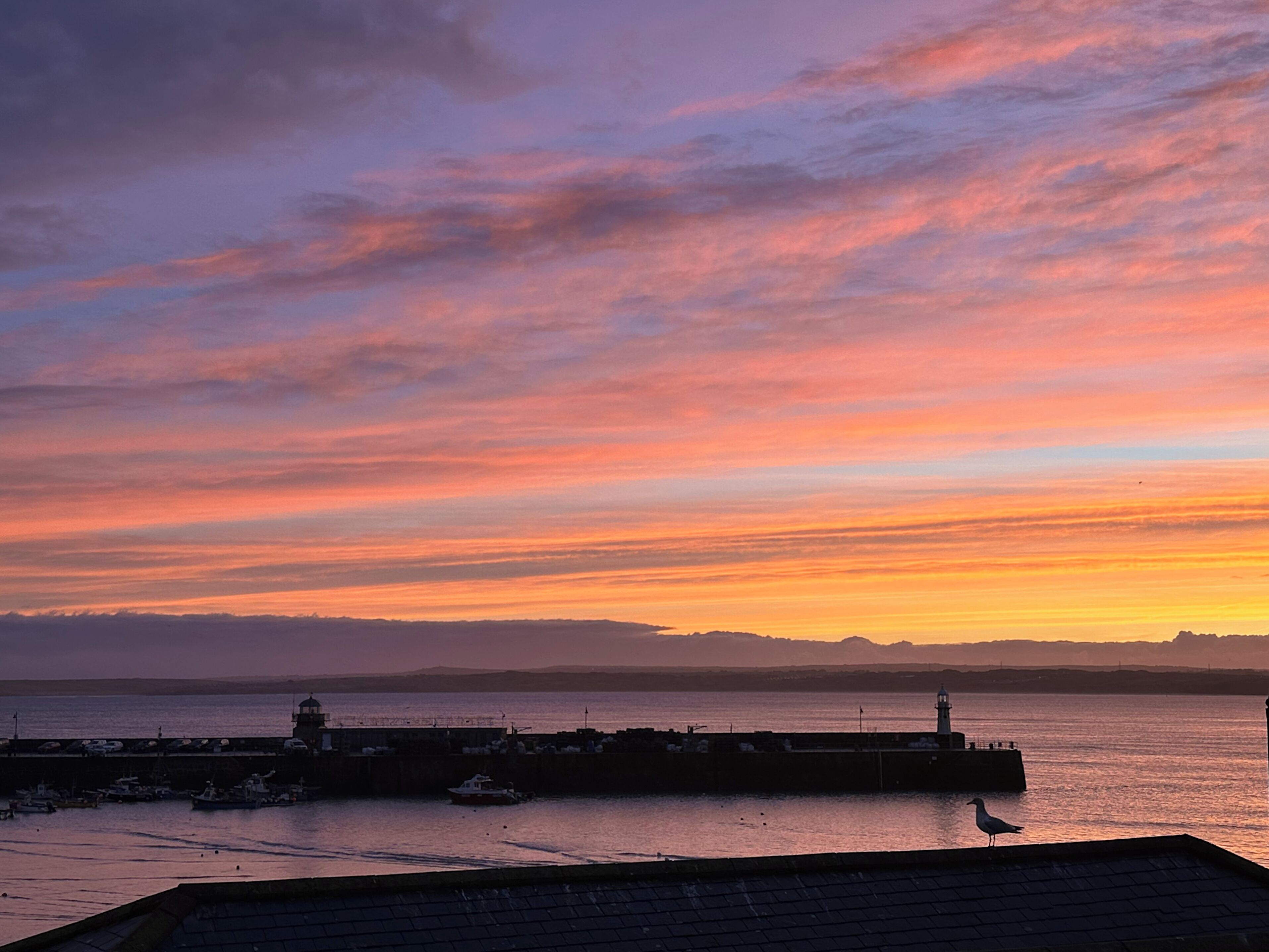 A harbor at sunset with boats docked, a lighthouse, and a seagull on the pier.