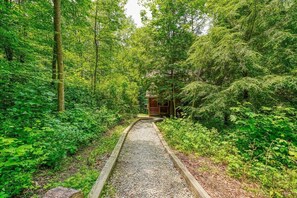 A gravel path leading to a wooden cabin in a forested area.